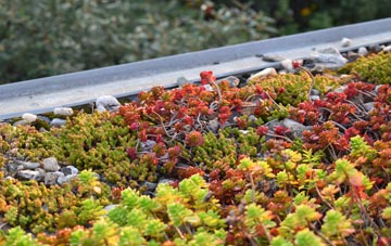 the cost of Gussage St Michael green roof installation