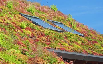 Gussage St Michael living roof systems