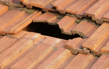 roof repair Gussage St Michael, Dorset