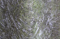 Gussage St Michael fibreglass roof work